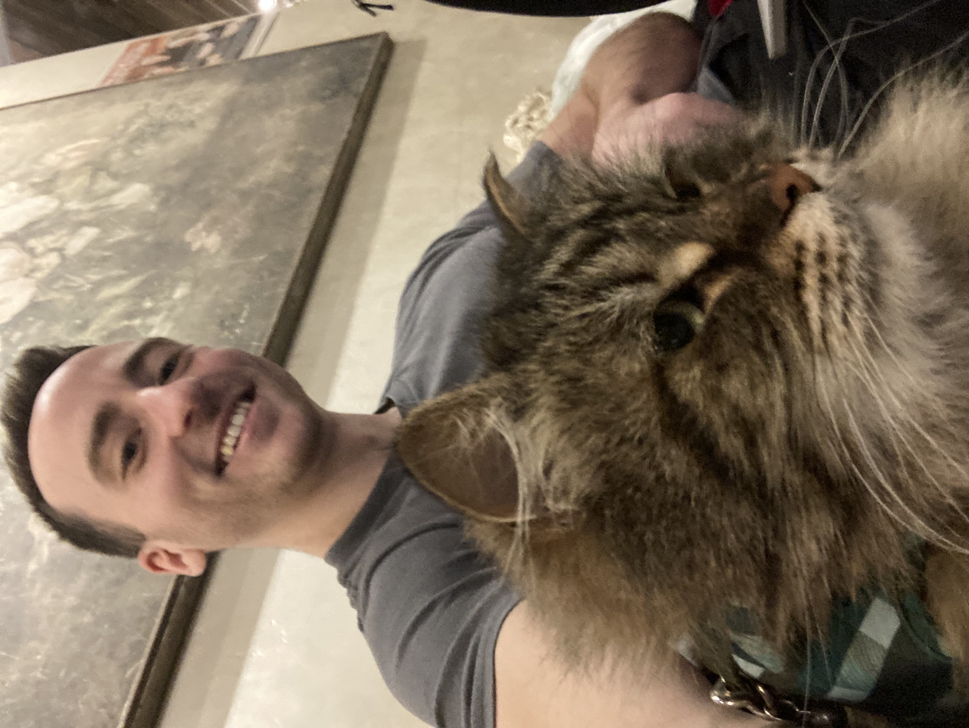 Willow was here first